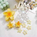 10 Pçs/set Doce Gradiente Flor