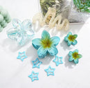 10 Pçs/set Doce Gradiente Flor